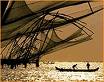 mare india